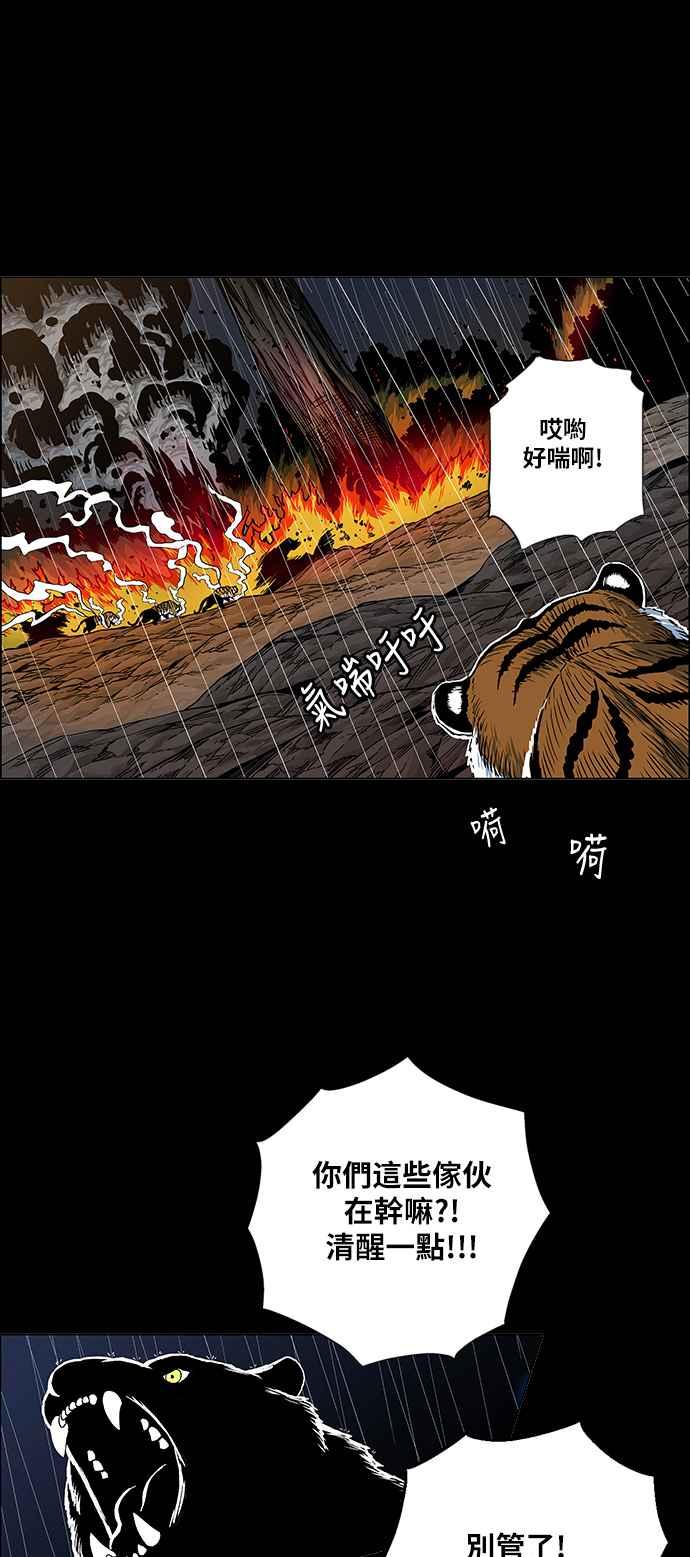 54.jpg
