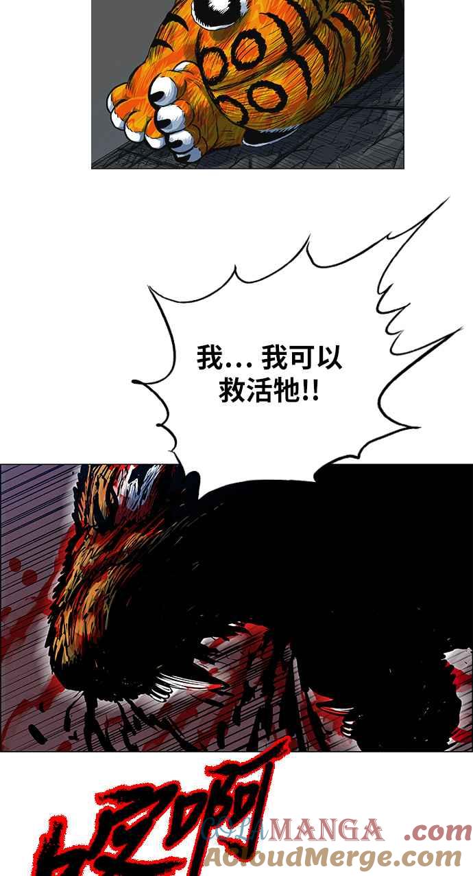 24.jpg