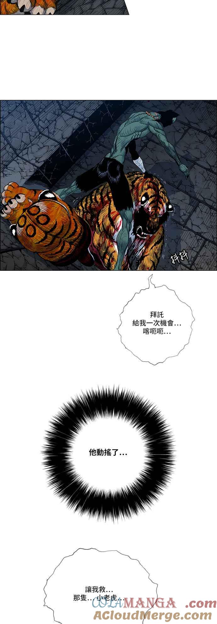 27.jpg