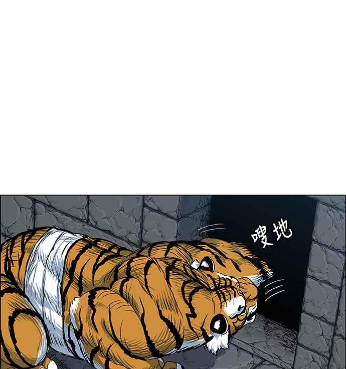 68.jpg