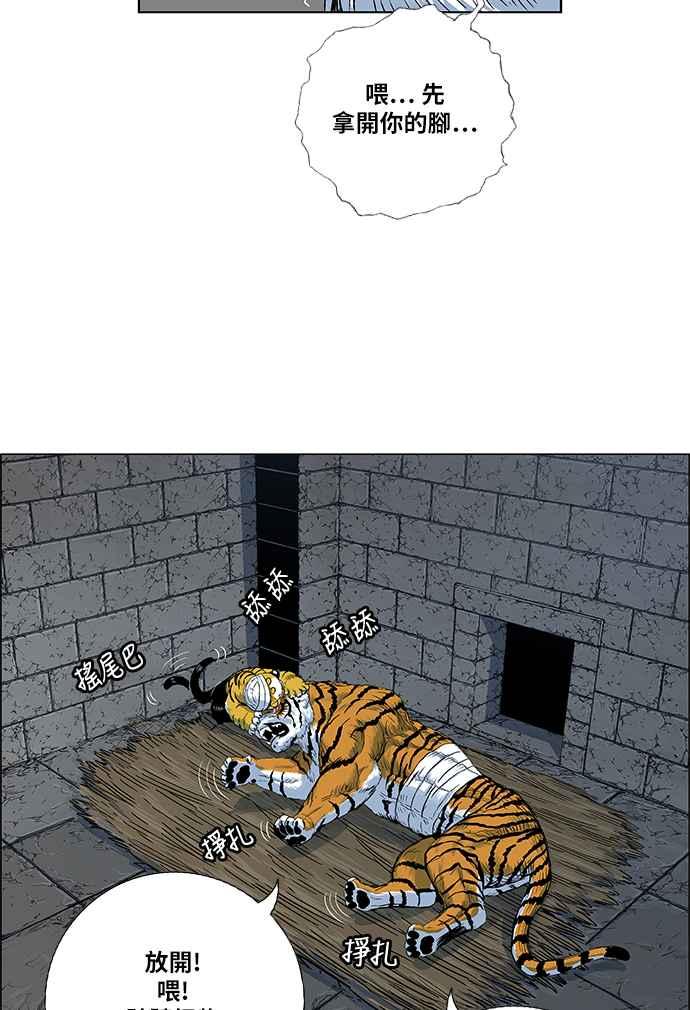 48.jpg