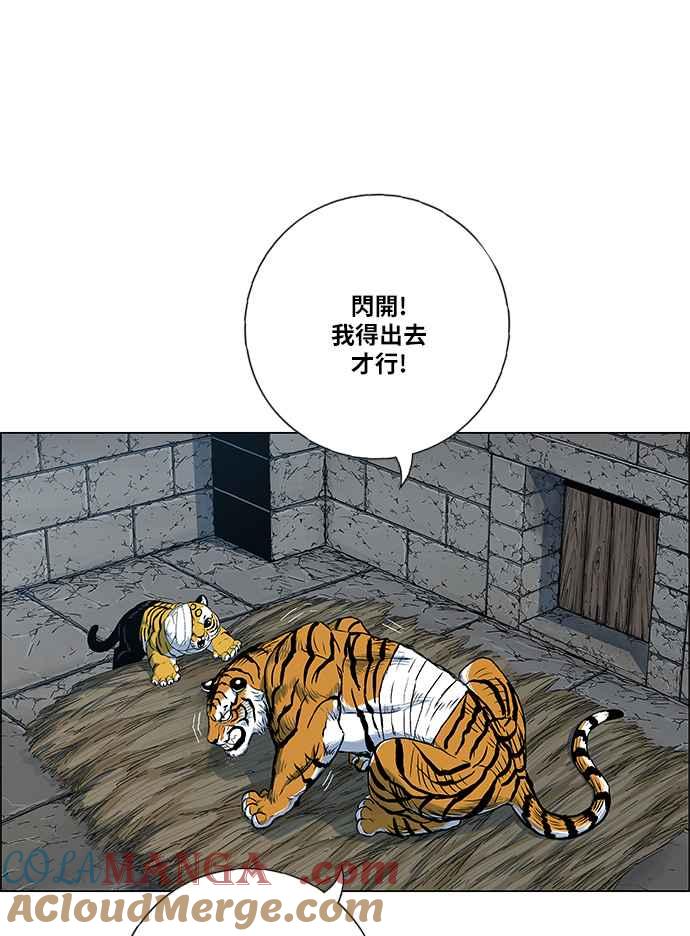 55.jpg