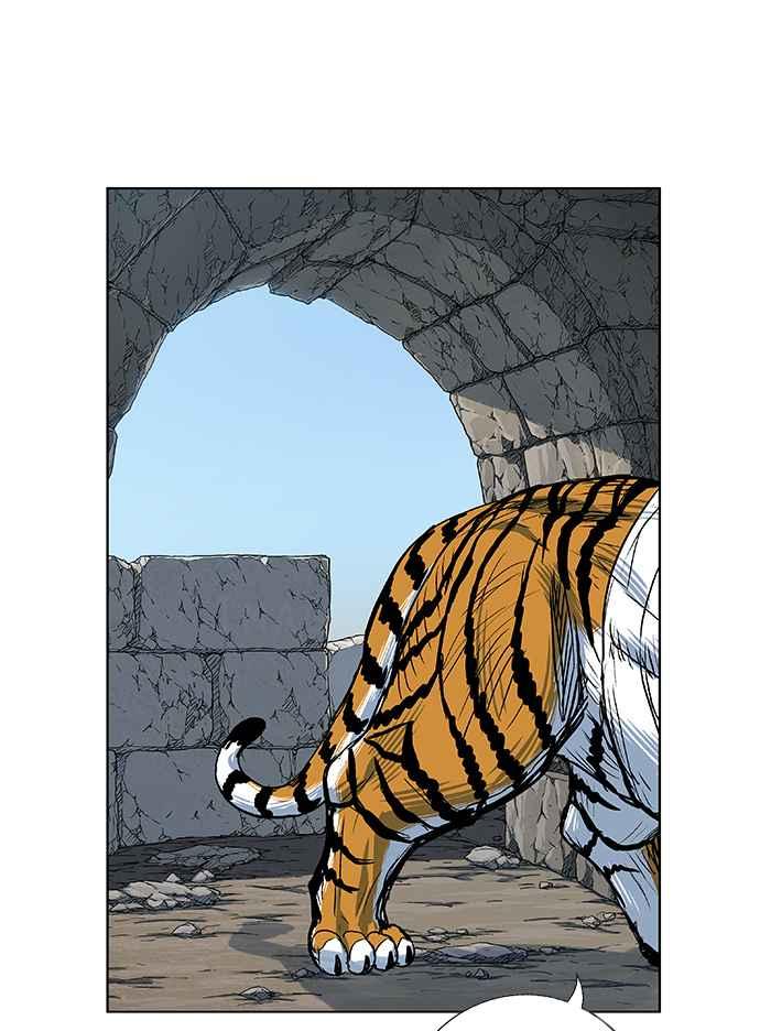 62.jpg