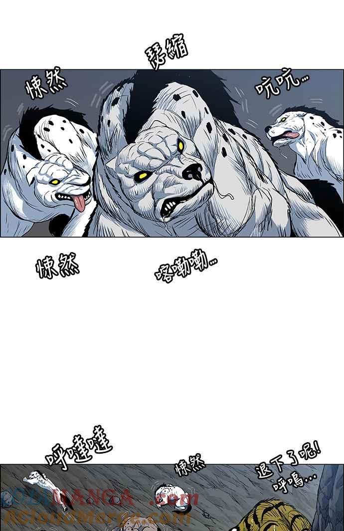 49.jpg