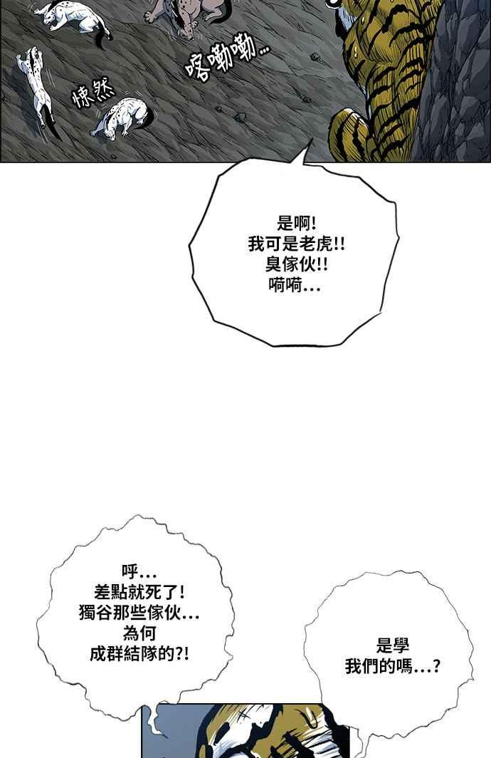 50.jpg