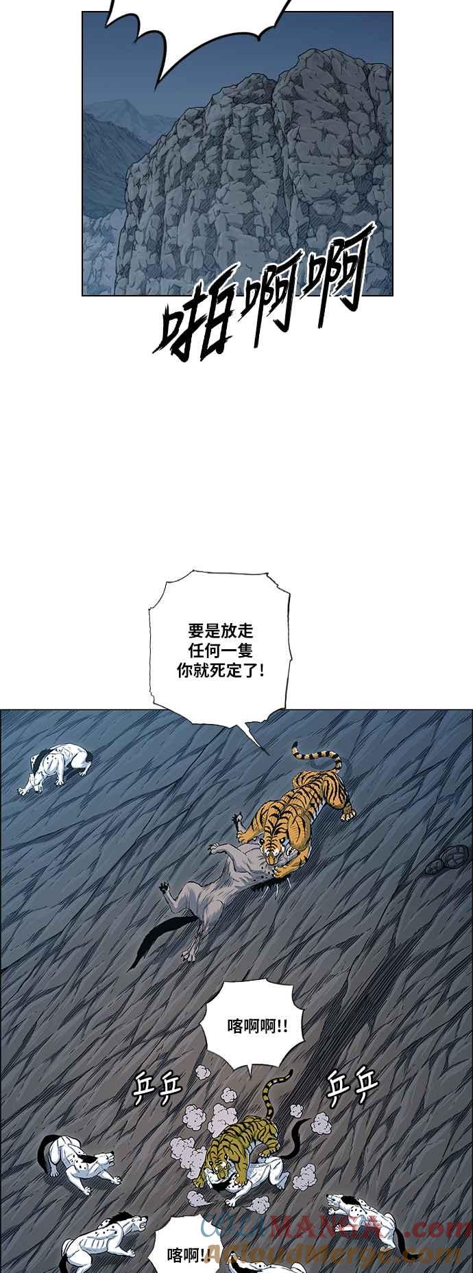 16.jpg