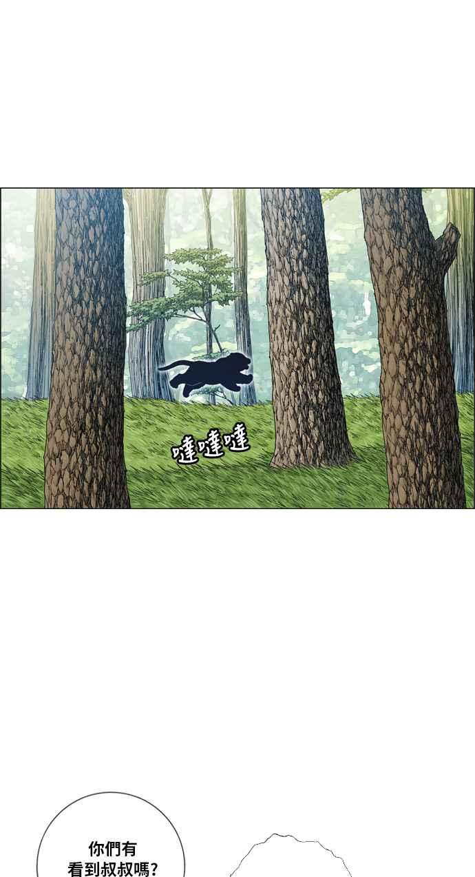 47.jpg