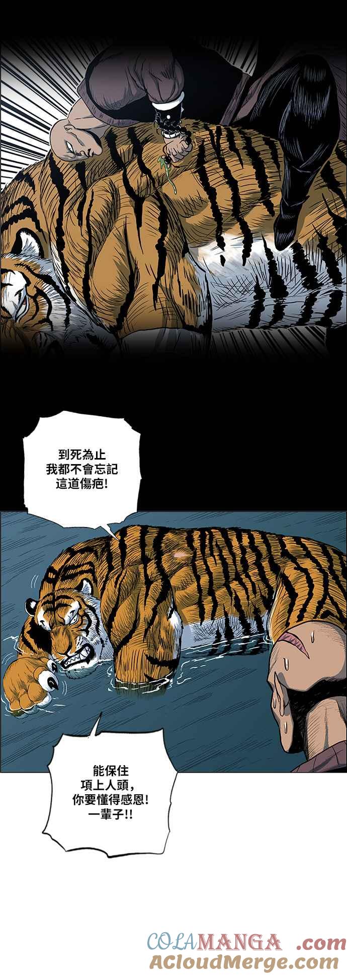 46.jpg