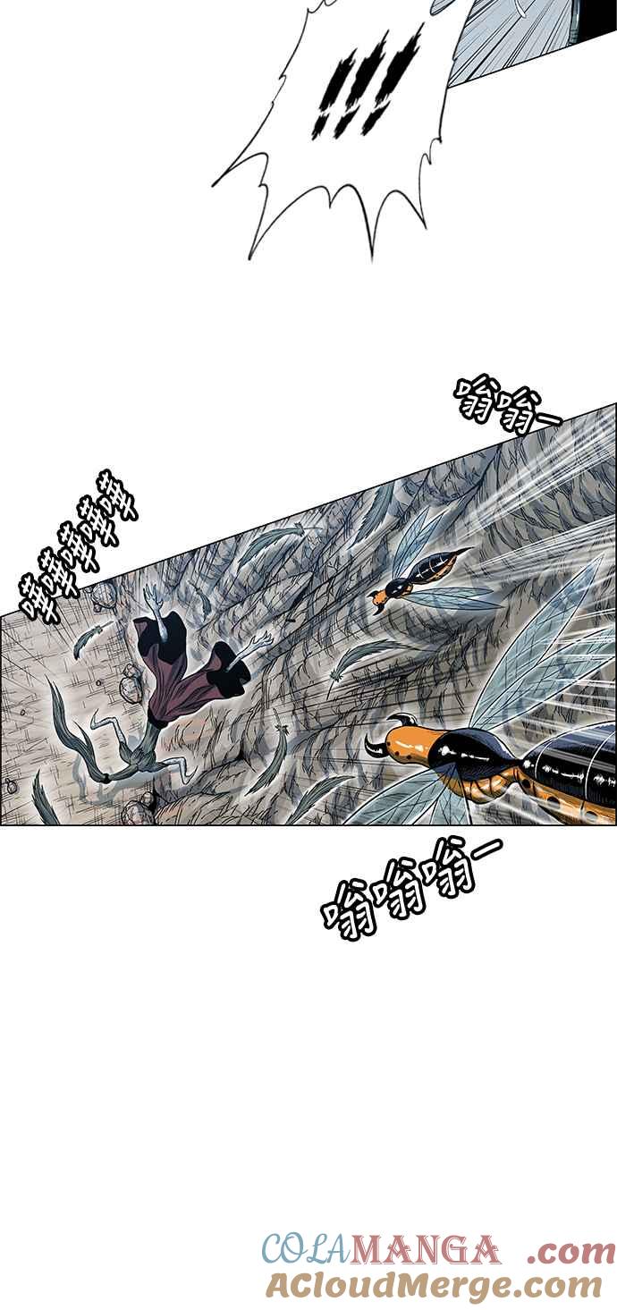 31.jpg