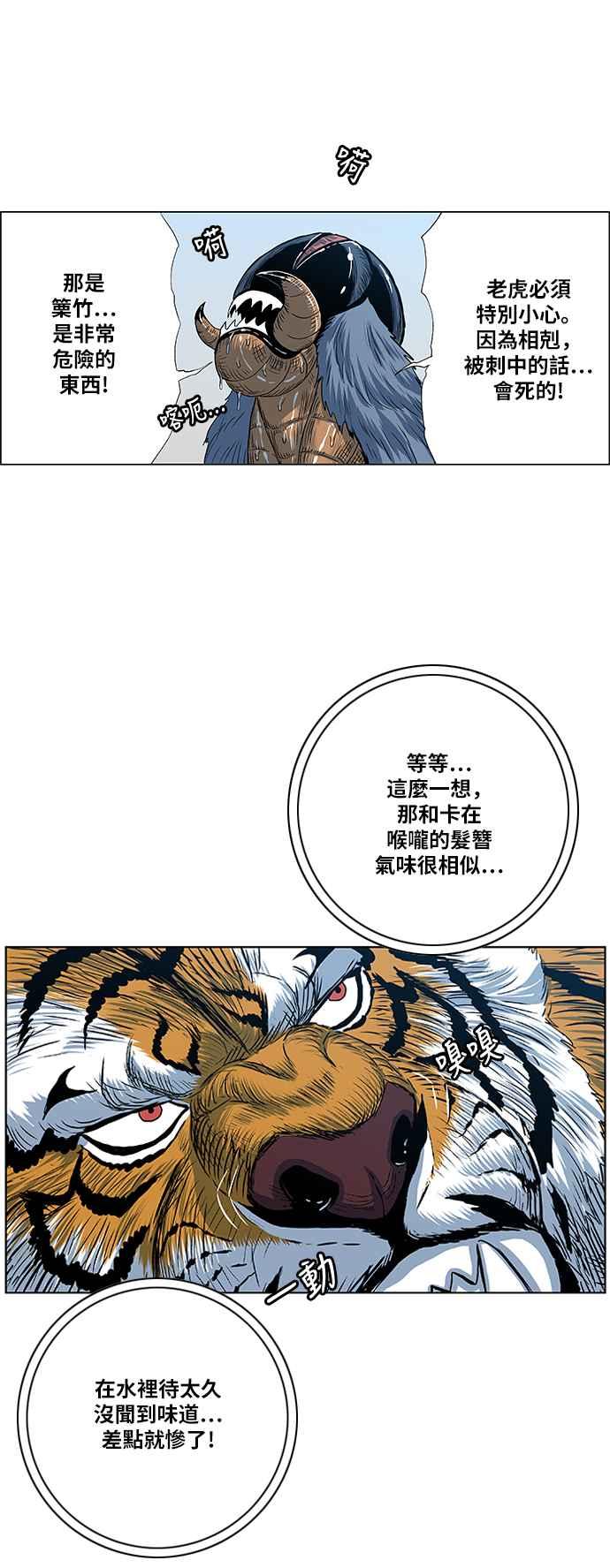 11.jpg