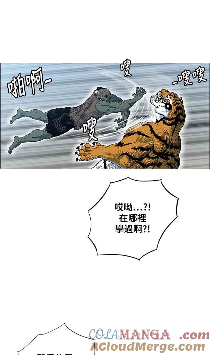 49.jpg