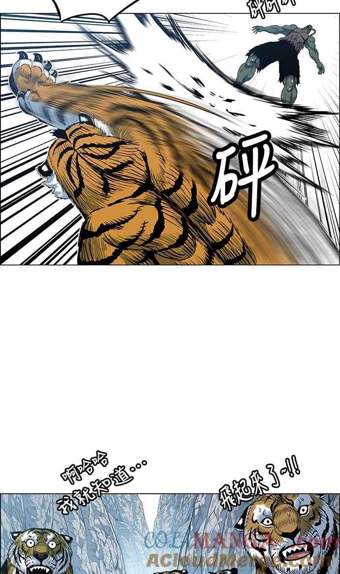 52.jpg