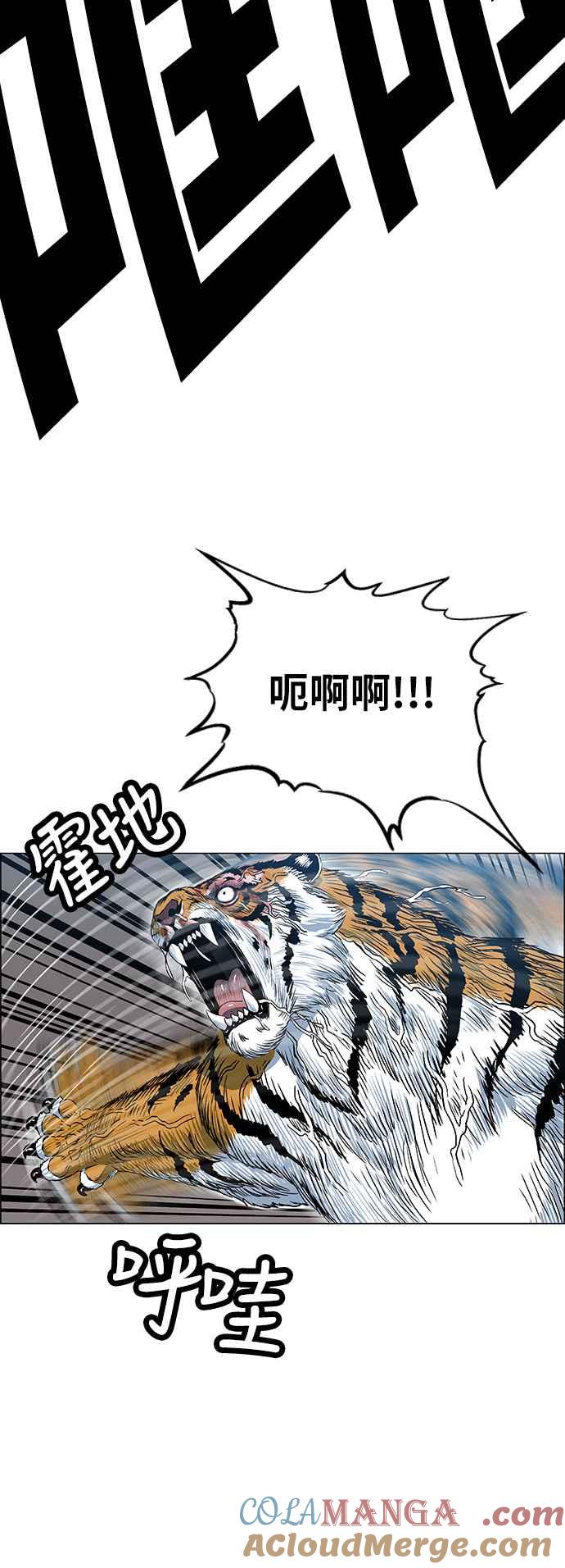 28.jpg