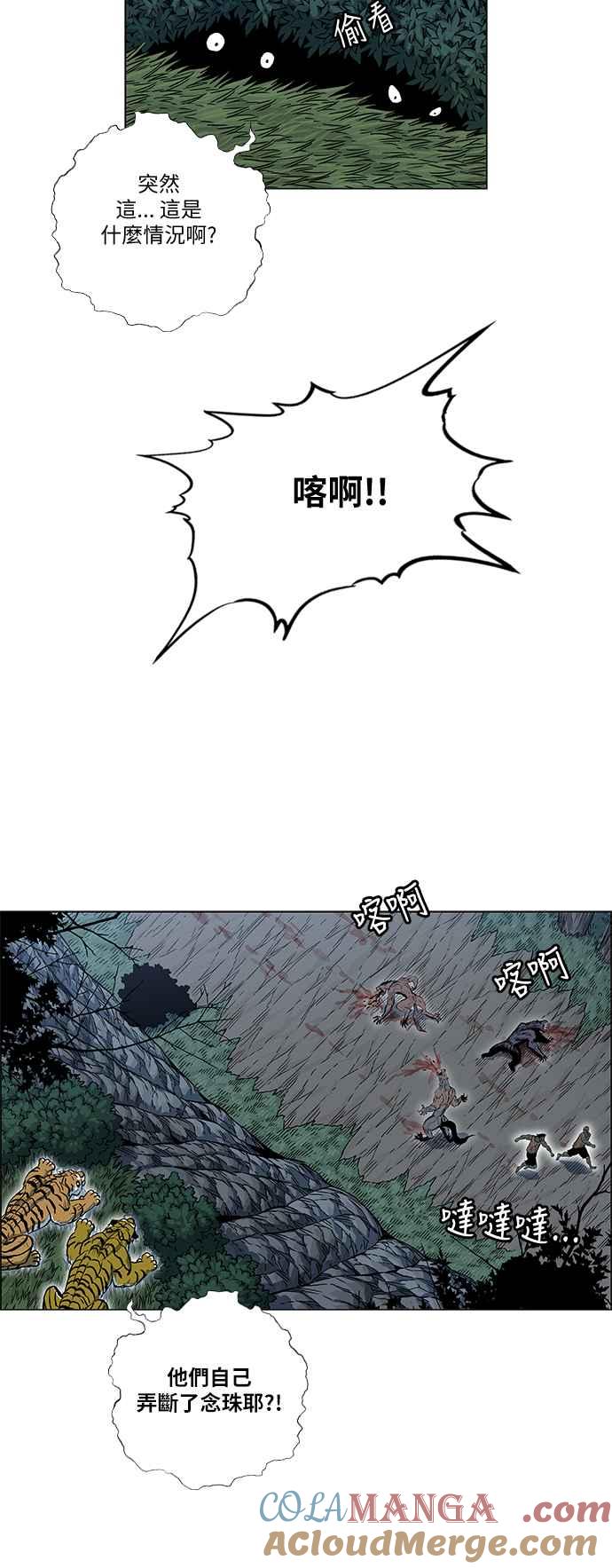 46.jpg