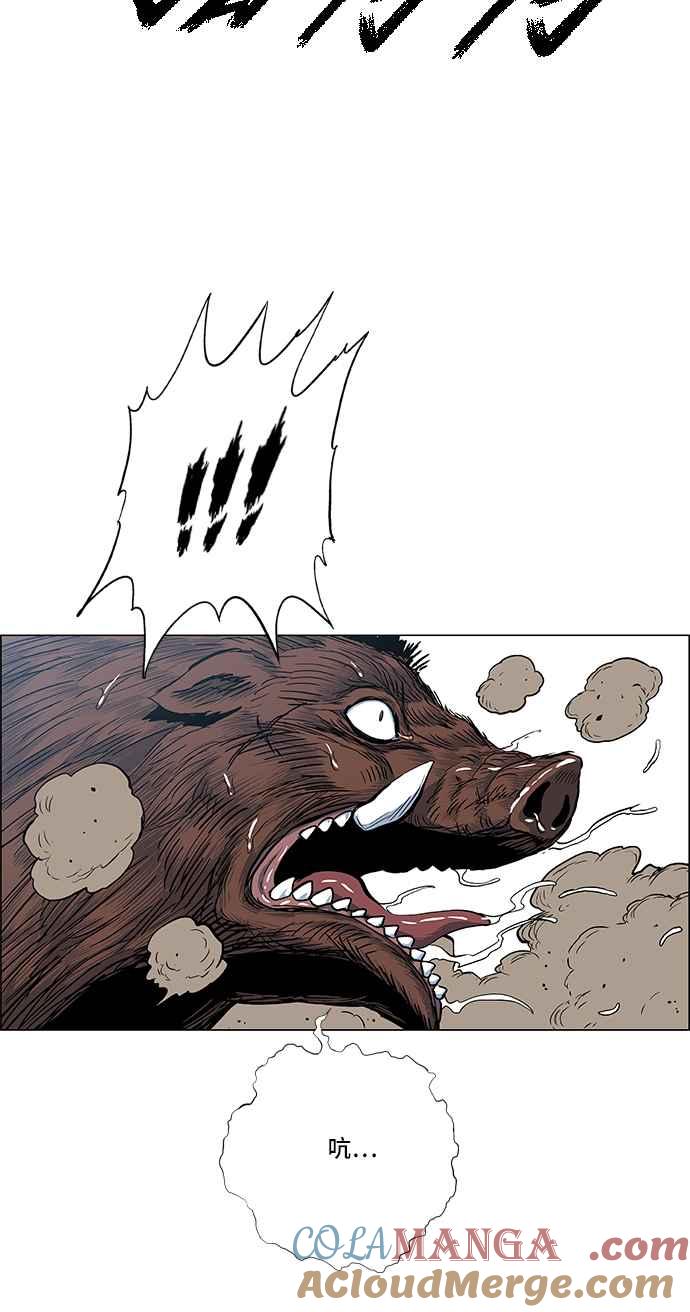 64.jpg