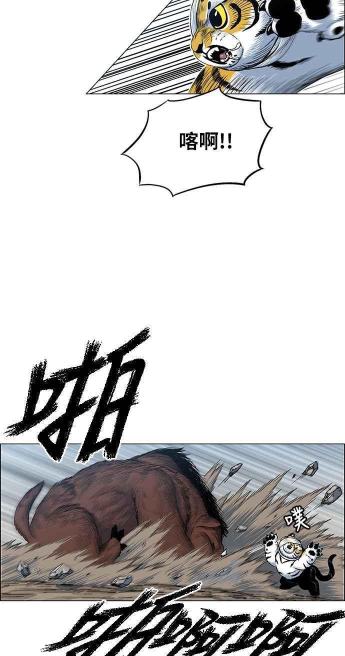 63.jpg
