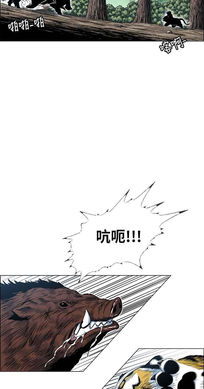 62.jpg