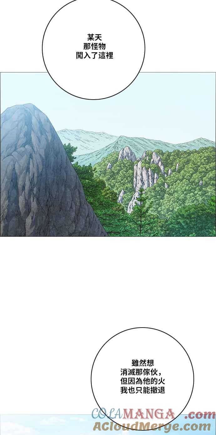 46.jpg