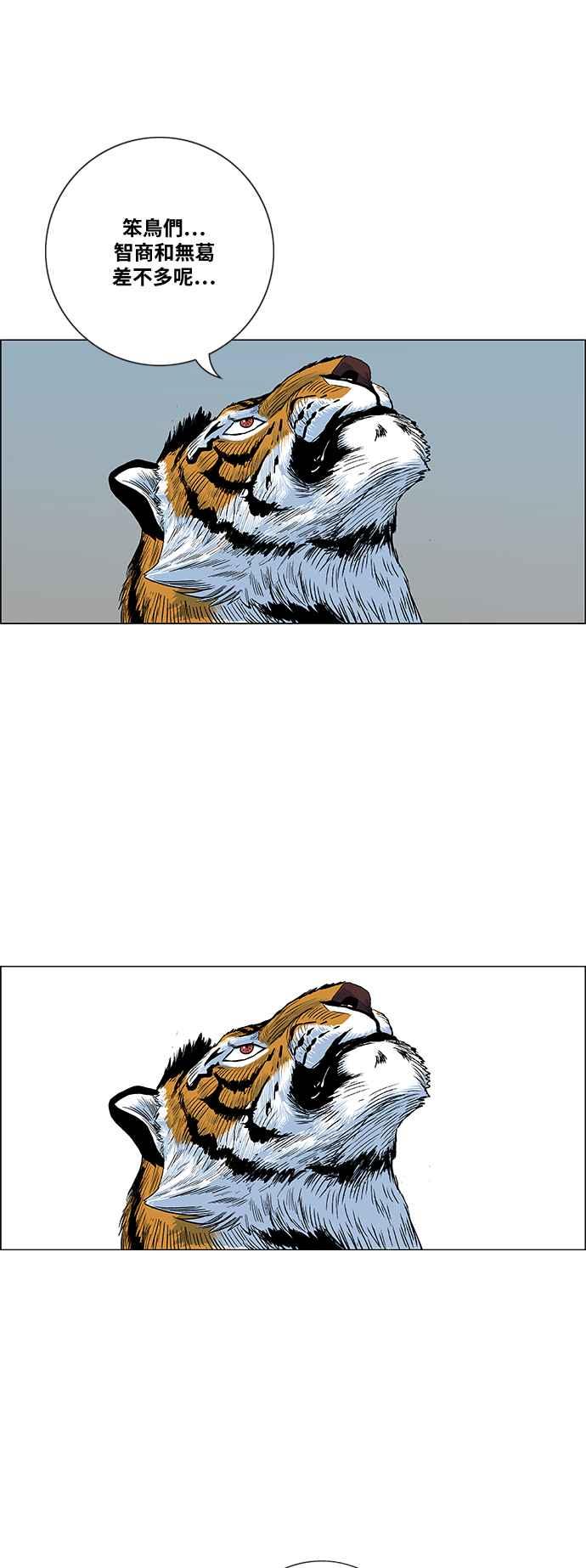 29.jpg