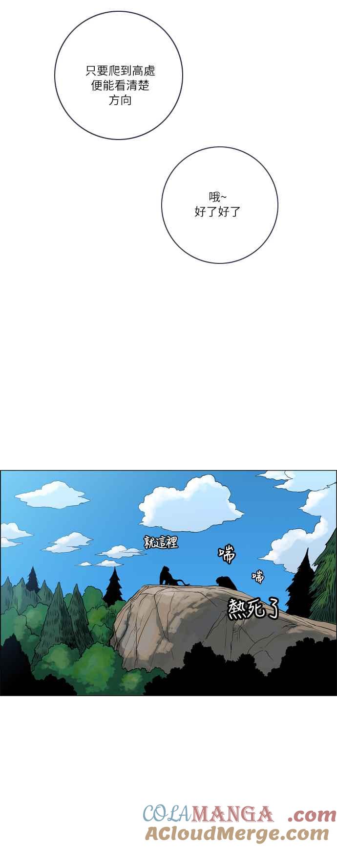 15.jpg