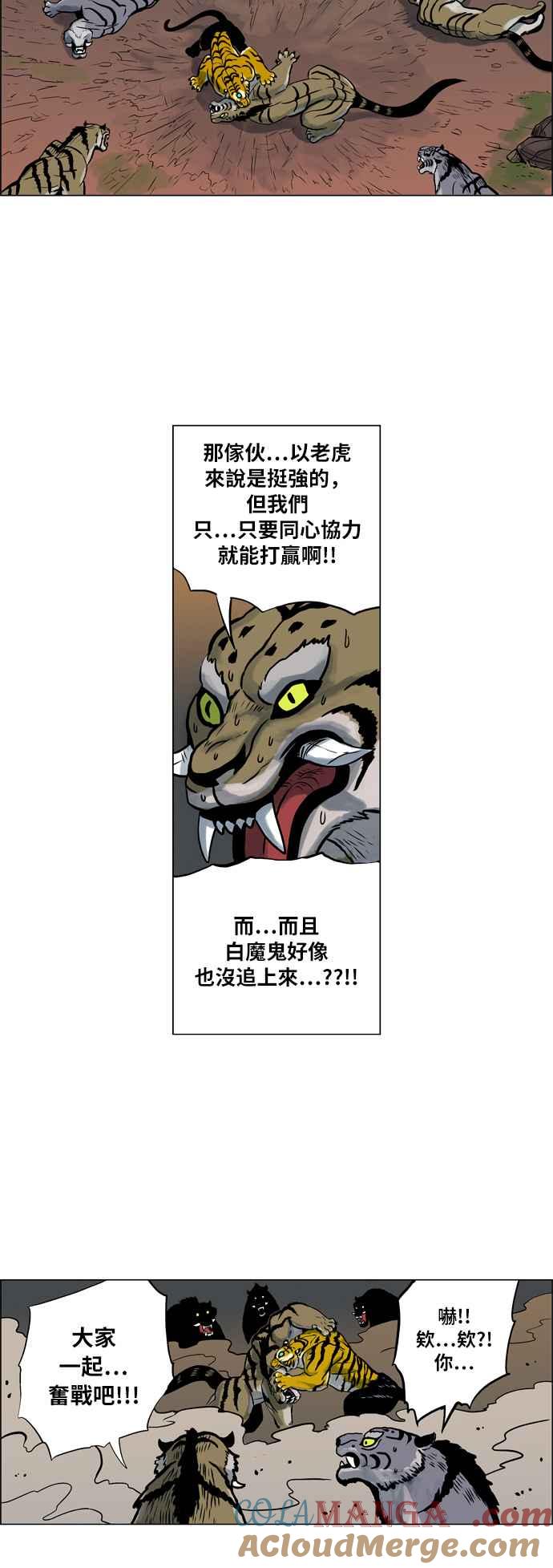11.jpg