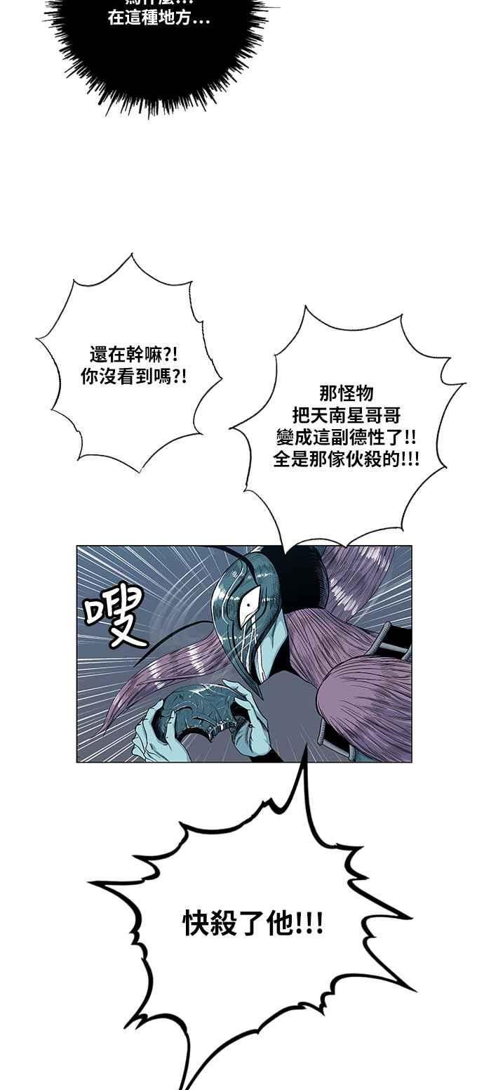 41.jpg