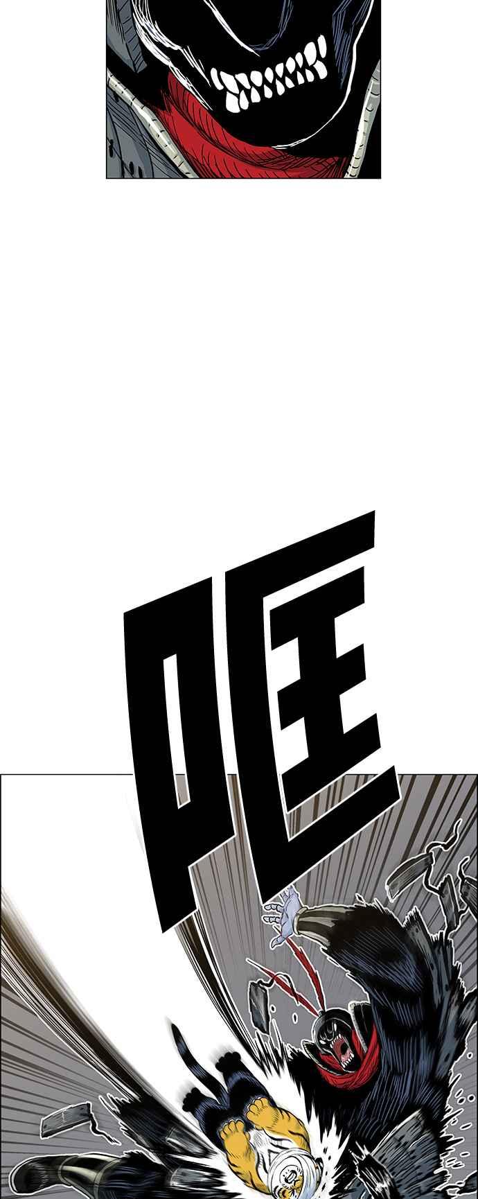 17.jpg