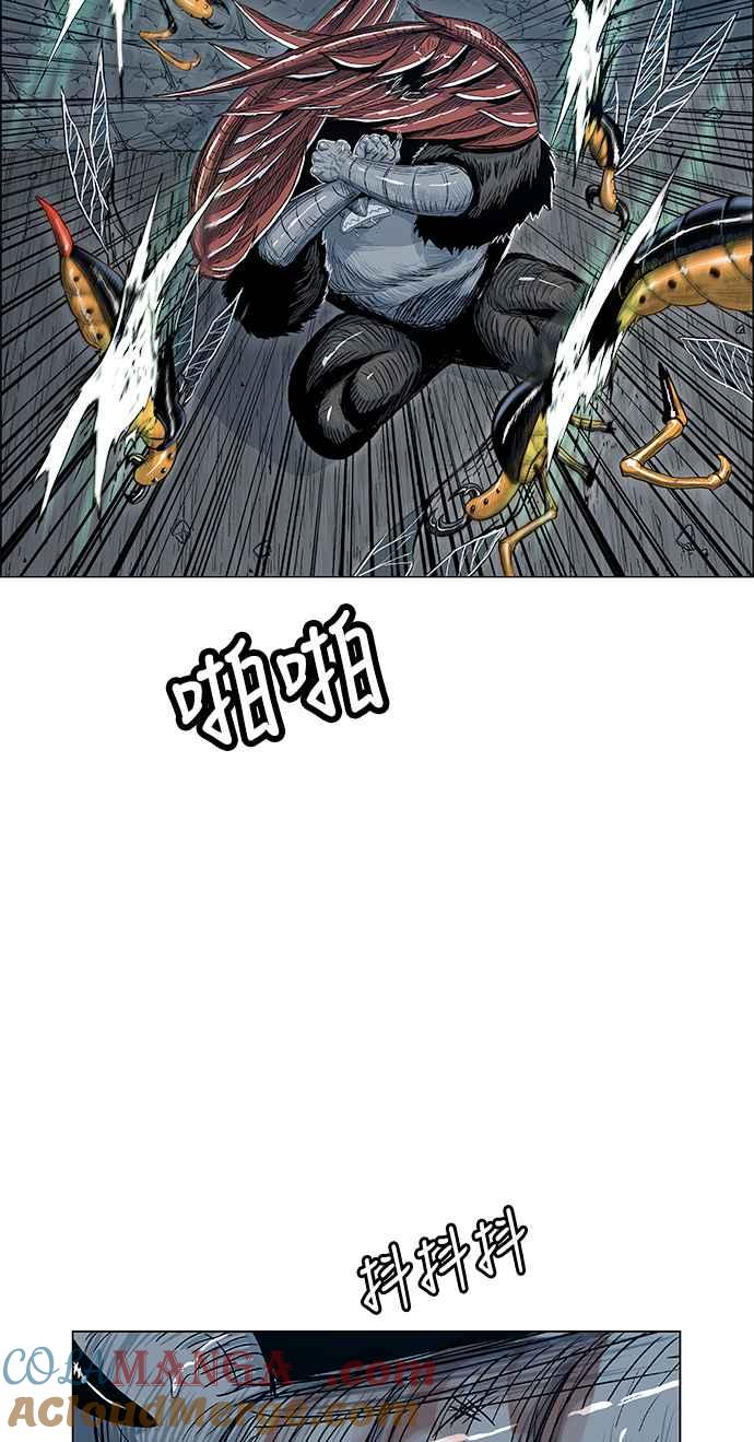40.jpg