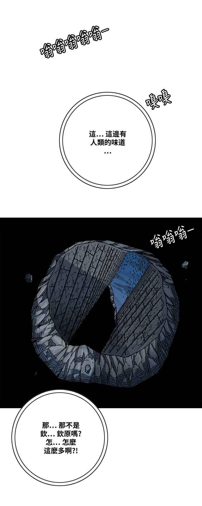 29.jpg