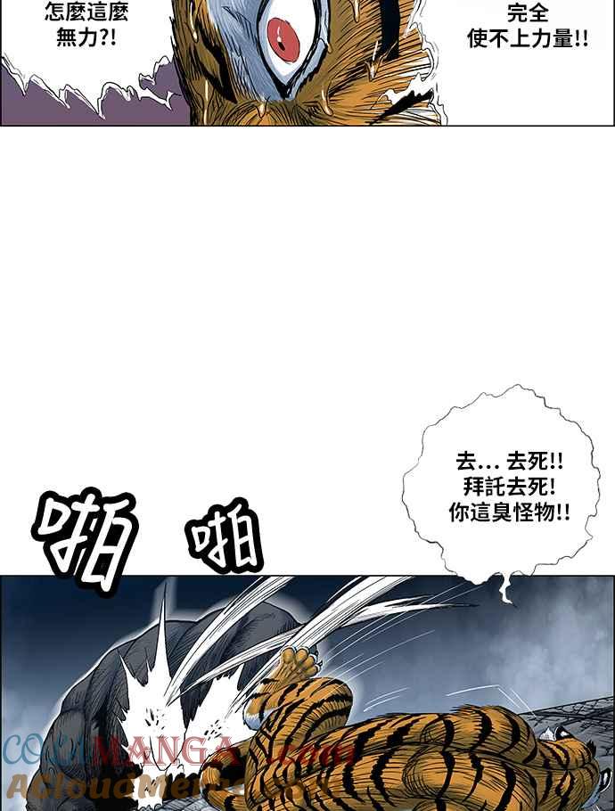 19.jpg