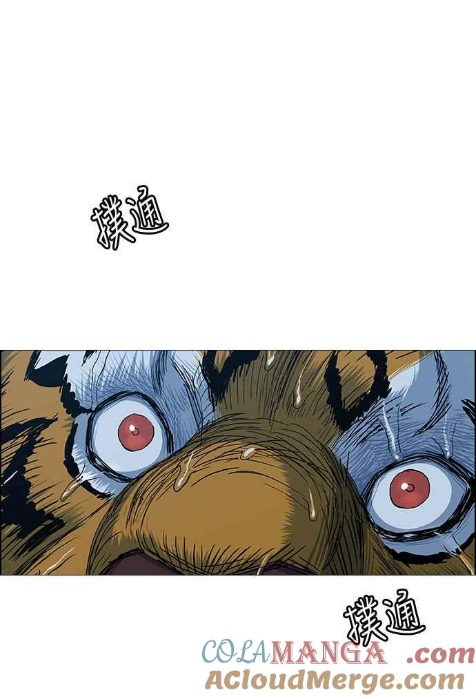52.jpg
