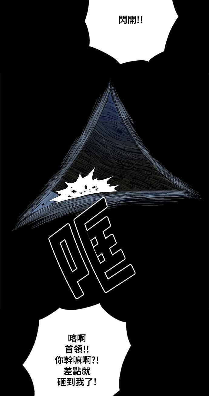 48.jpg