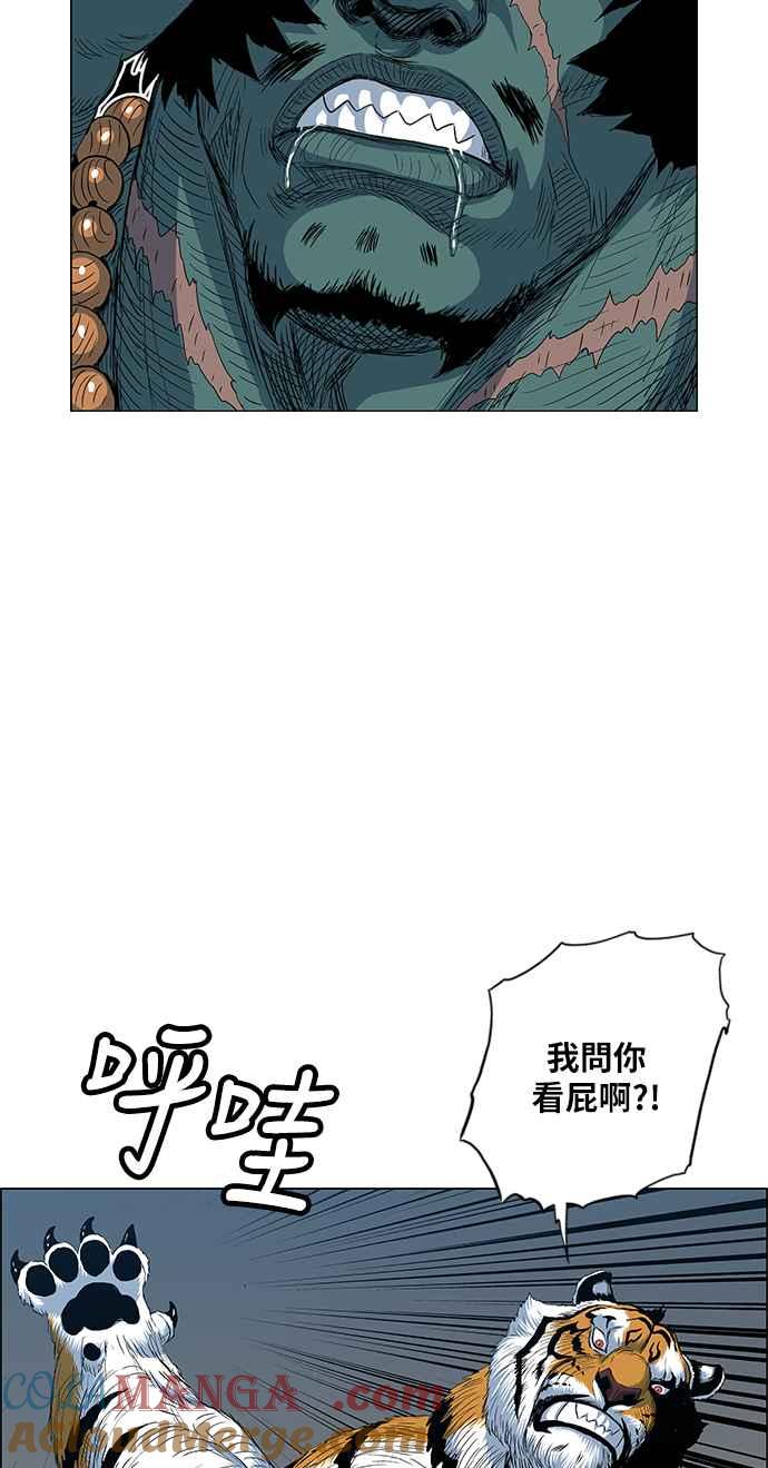 40.jpg