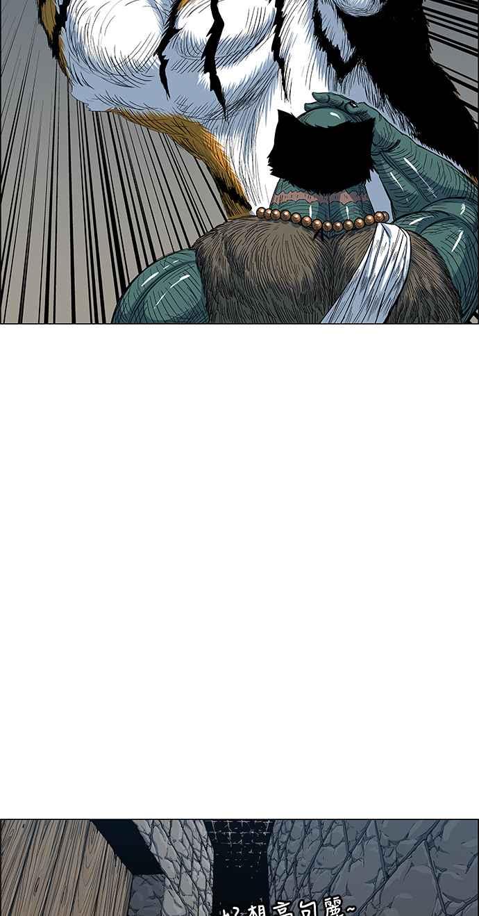 41.jpg