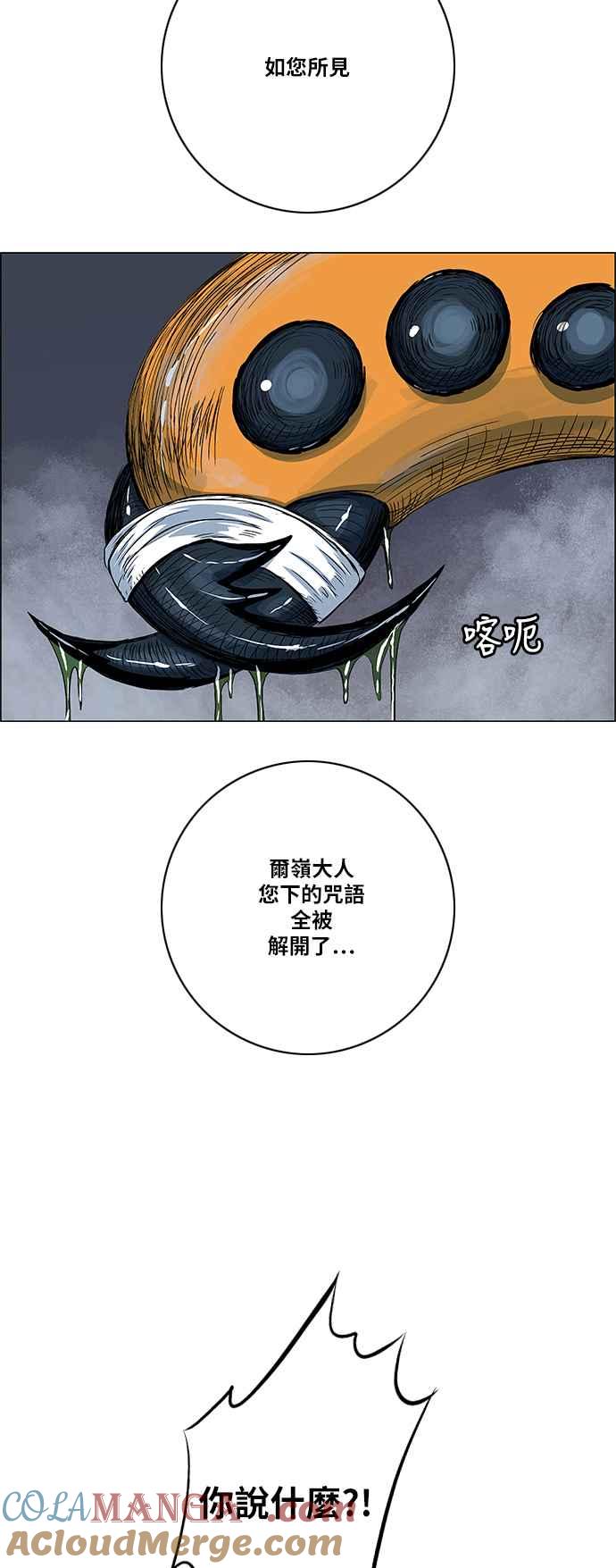 16.jpg