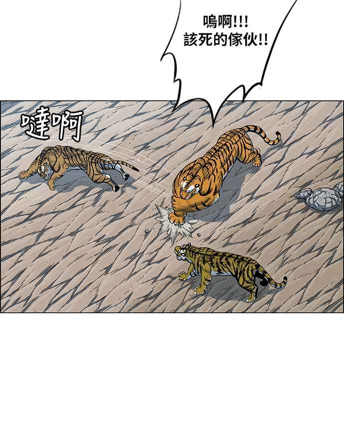 63.jpg