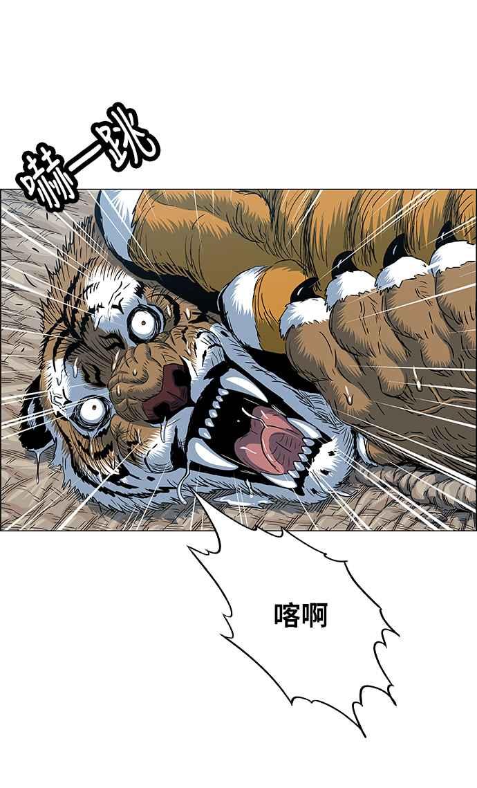 51.jpg