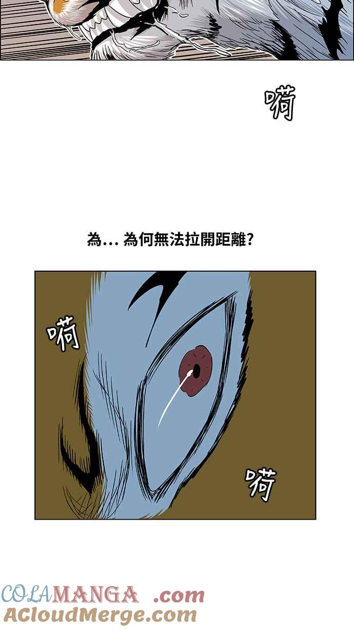 40.jpg
