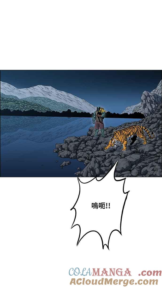 46.jpg