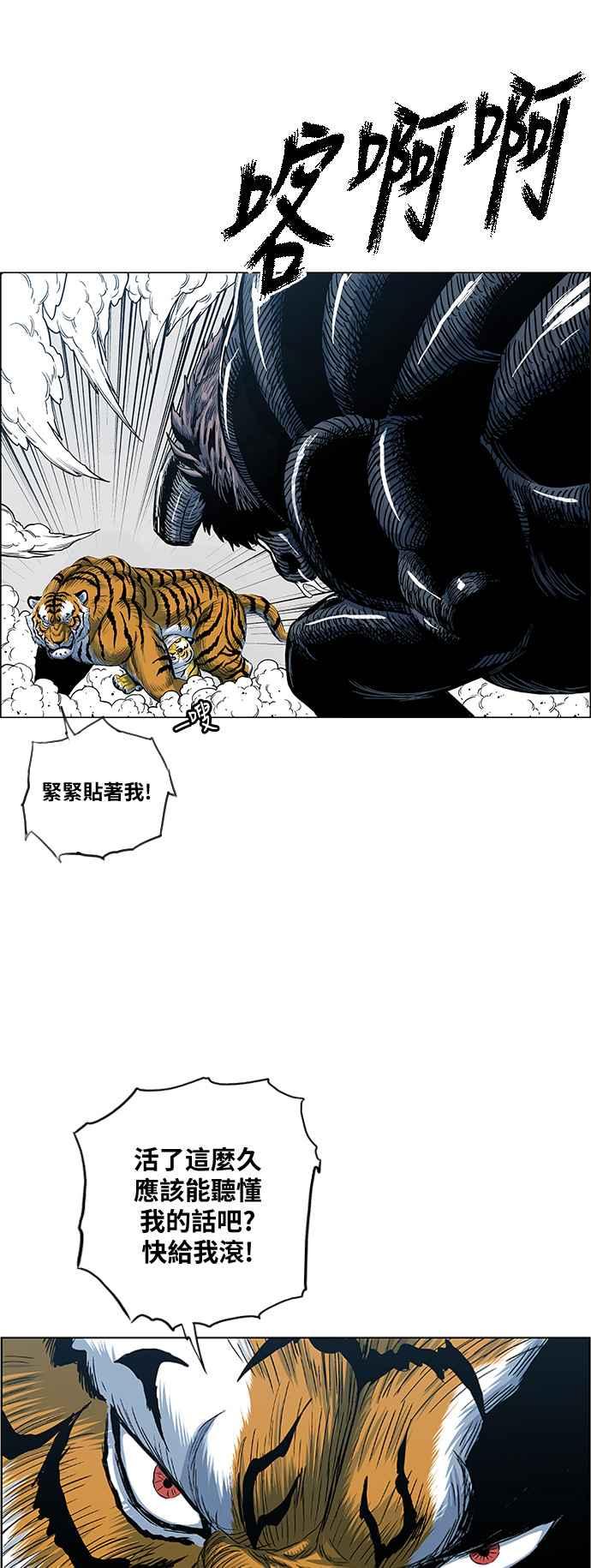 41.jpg