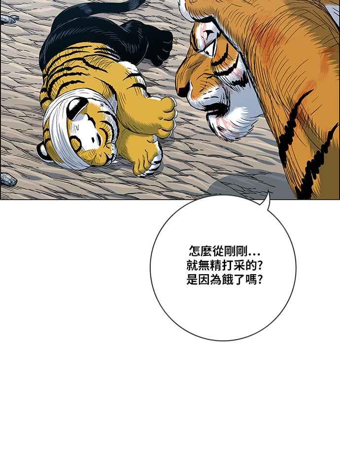 27.jpg
