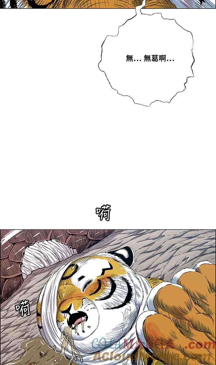 43.jpg