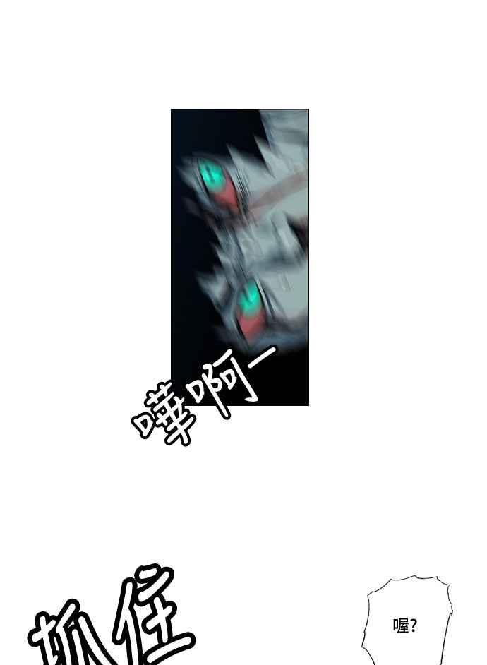 41.jpg