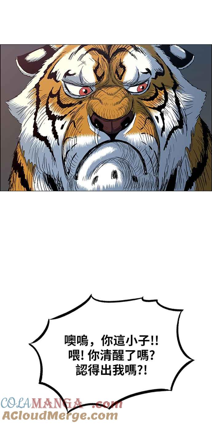 49.jpg