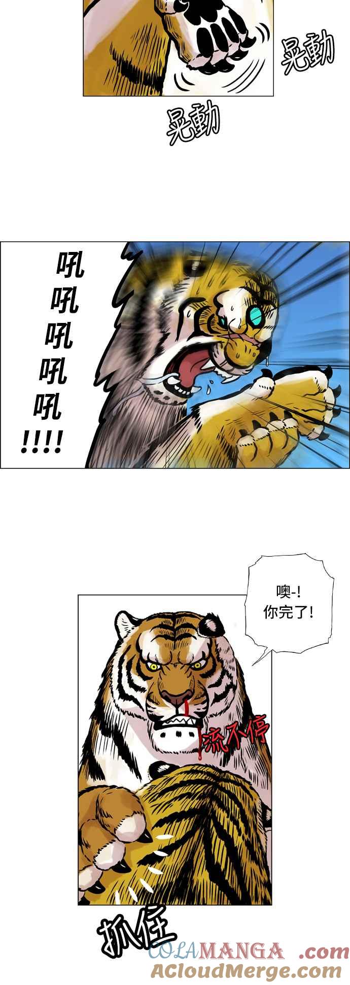 11.jpg