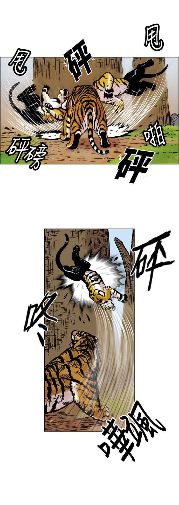 12.jpg