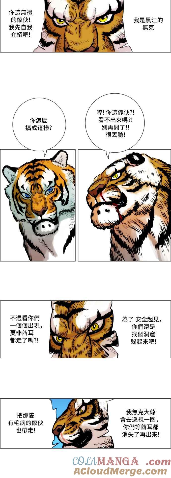17.jpg