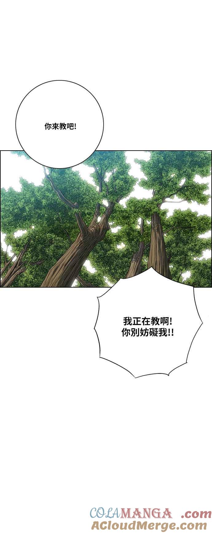 31.jpg