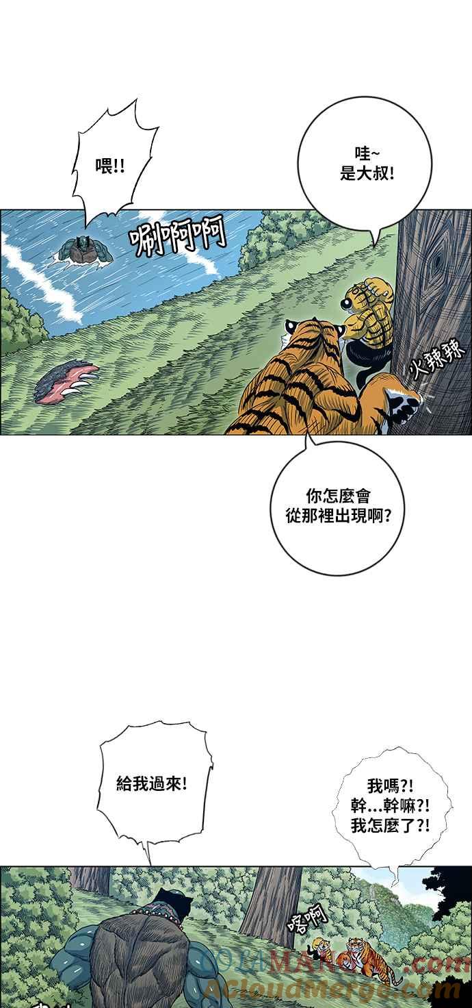 16.jpg