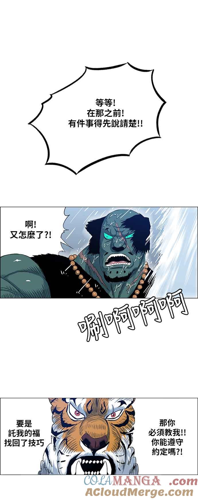 13.jpg